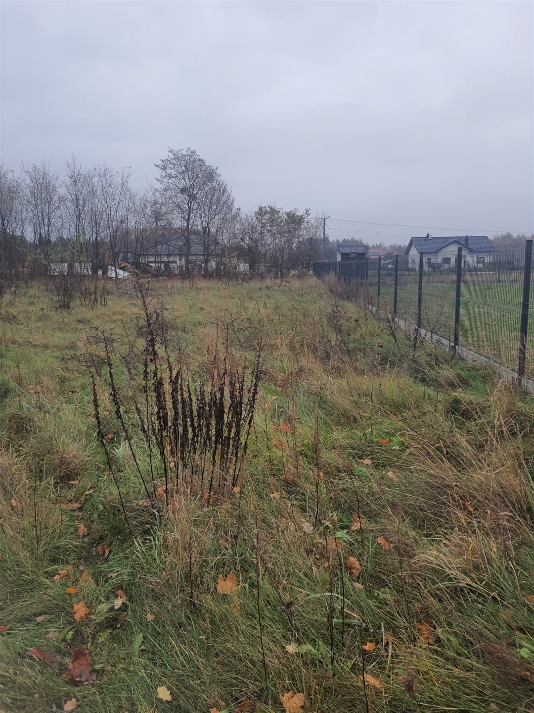 Działka budowlana na sprzedaż Kożuszki-Parcel  3 000m2 Foto 1