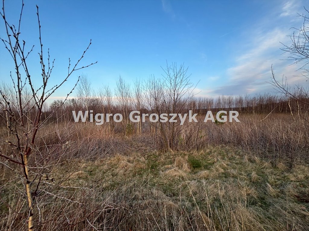 Na sprzedaż działka 19 824 m² z warunkami zabudowy i prądem Ludwikowo  19 824m2 Foto 1