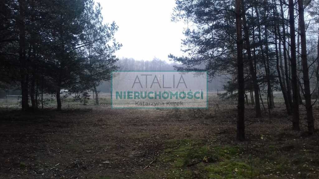 Duża działka leśna 6 ha przy źródłach rzeki Tarczynki Bystrzanów  60 000m2 Foto 1