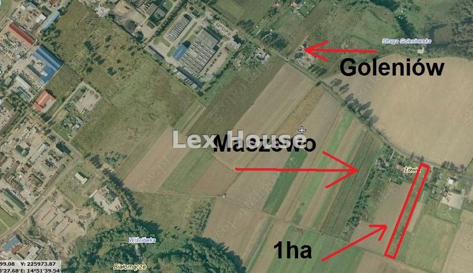 Działka 10 000 m² z warunkami zabudowy w Goleniowie Goleniów  10 000m2 Foto 1