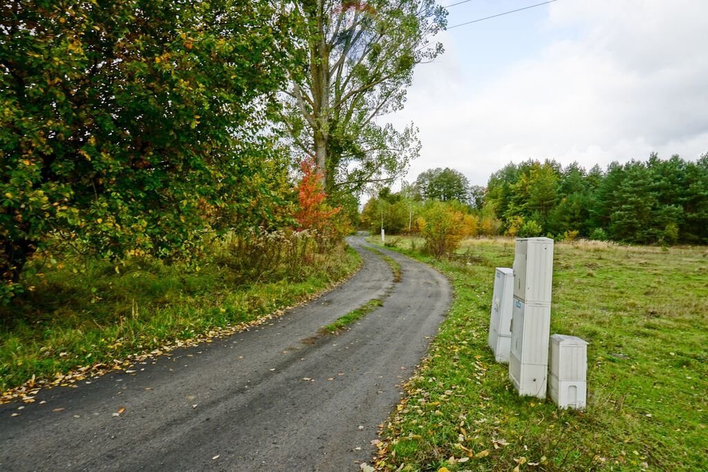 Działka 2500m² pod usługi, blisko S8, Radziejowice Radziejowice-Parcel, Aleja Lipowa  2 500m2 Foto 1