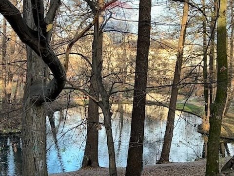 Mieszkanie trzypokojowe na wynajem Warszawa, Marymoncka  49m2 Foto 10