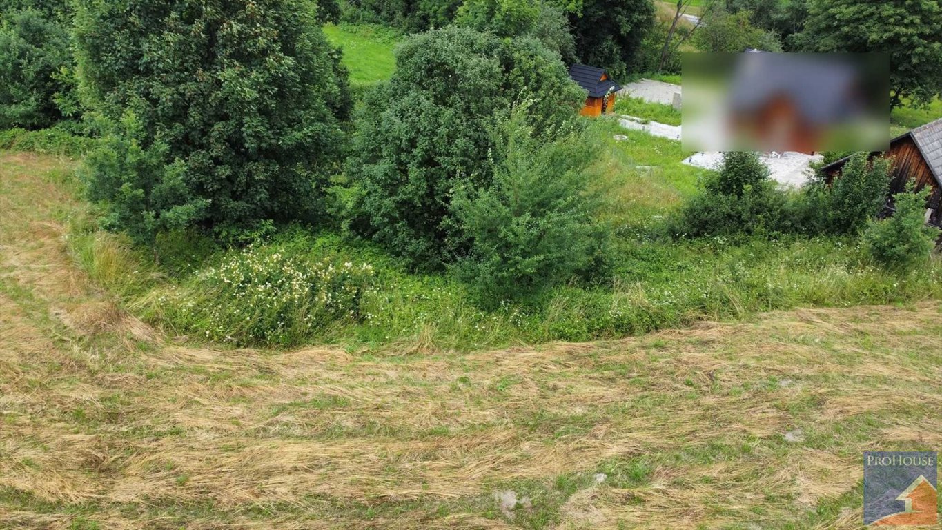 Działka budowlana na sprzedaż Pisarzowa  4 873m2 Foto 3