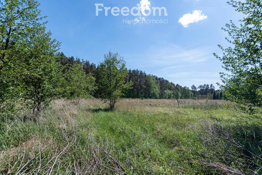 Działka budowlana na sprzedaż Kotuń  1 650m2 Foto 1