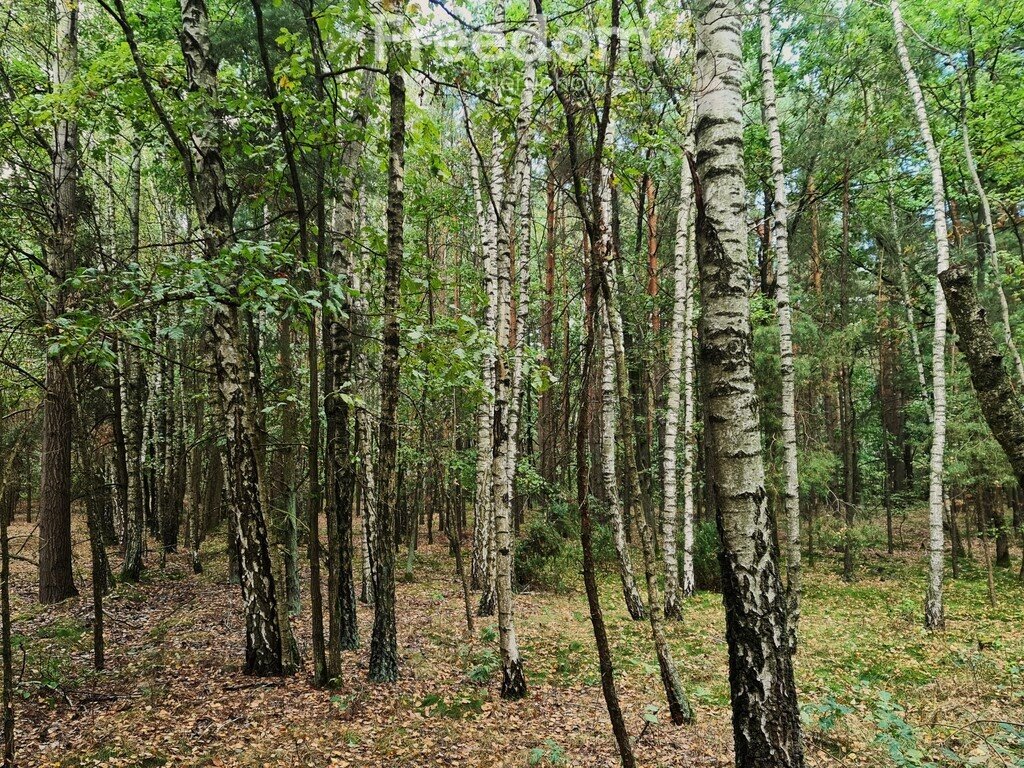 Działka rekreacyjna na sprzedaż Sławiny  18 000m2 Foto 2