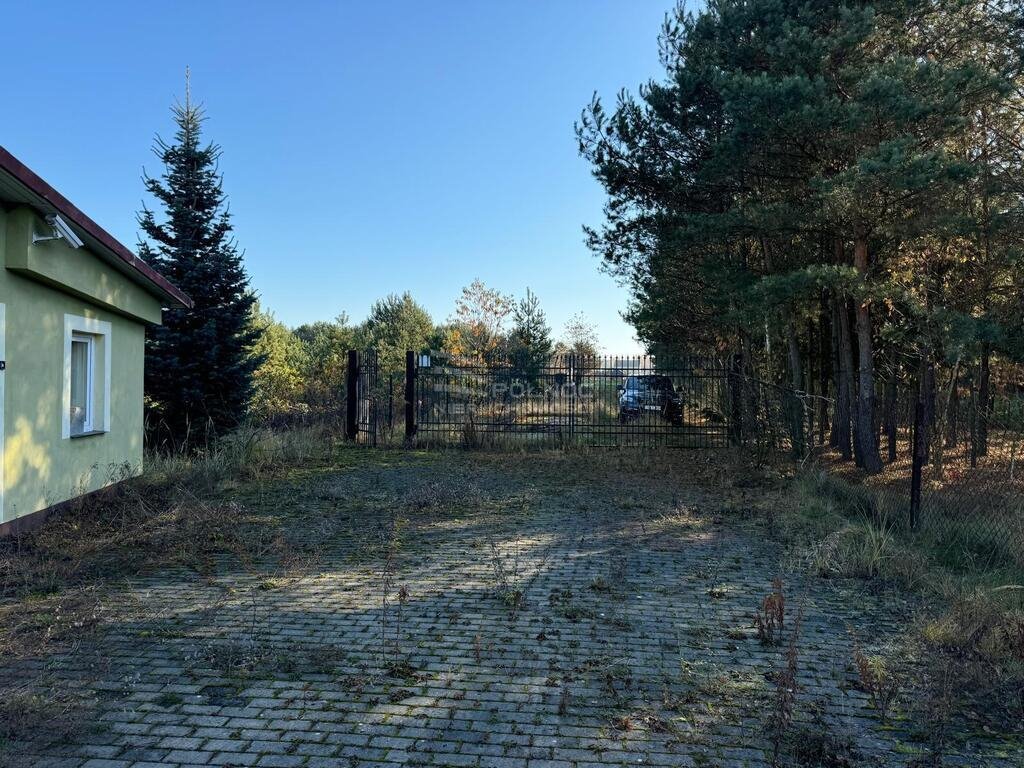 Lokal użytkowy na sprzedaż Plenna  1 340m2 Foto 4