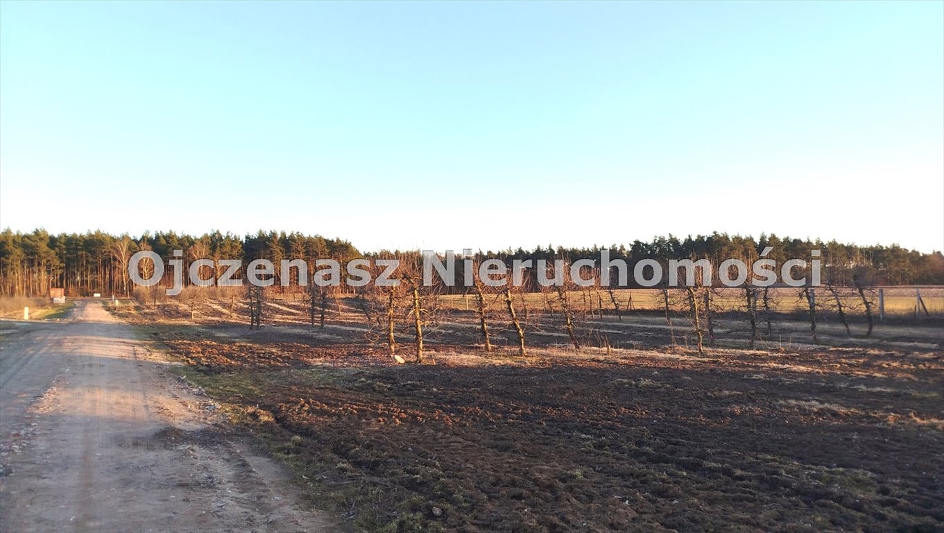 Działka 1290 m² pod zabudowę w Szczutkach, prąd w drodze Szczutki  1 290m2 Foto 1