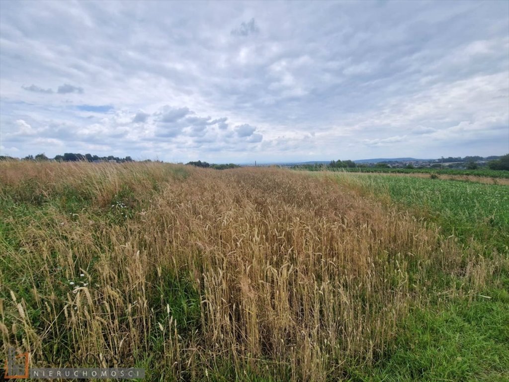 Działka rolna na sprzedaż Zielonki  2 066m2 Foto 3