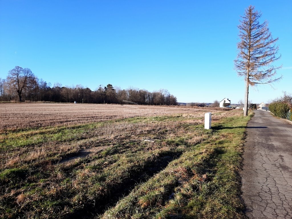 Działka budowlana na sprzedaż Żeliszów  1 463m2 Foto 3