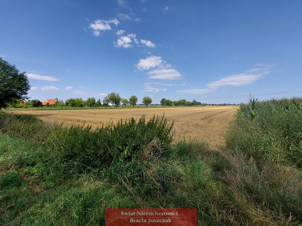 Działka siedliskowa na sprzedaż Ligota Wielka  29 000m2 Foto 3