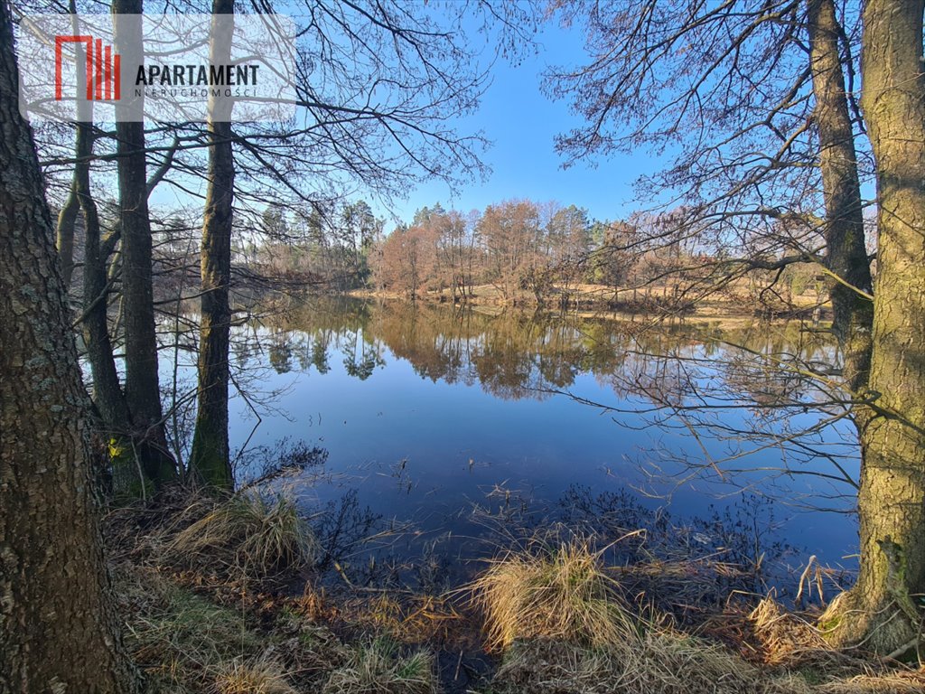 Działka nad rzeką Brdą 1,2ha – idealna na wypoczynek! Męcikał  12 115m2 Foto 1