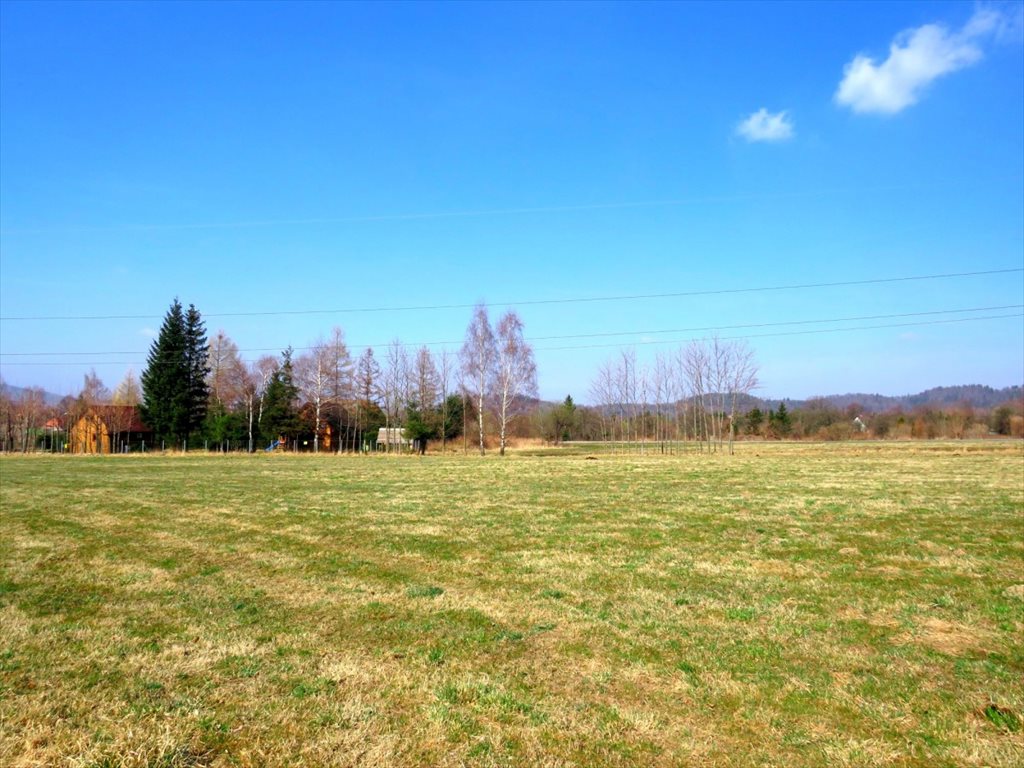 Działka budowlana na sprzedaż Kowary  5 300m2 Foto 1