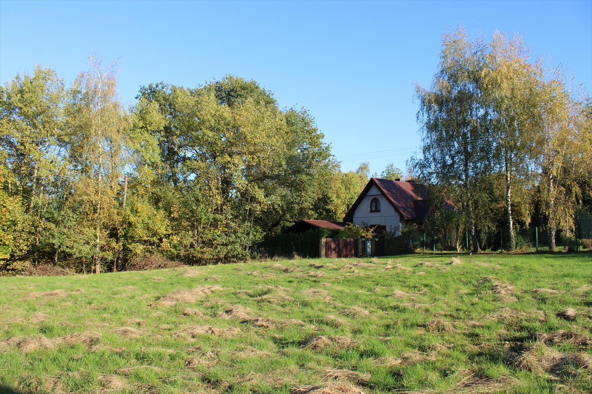 Działka budowlana na sprzedaż Kamionna  5 000m2 Foto 5