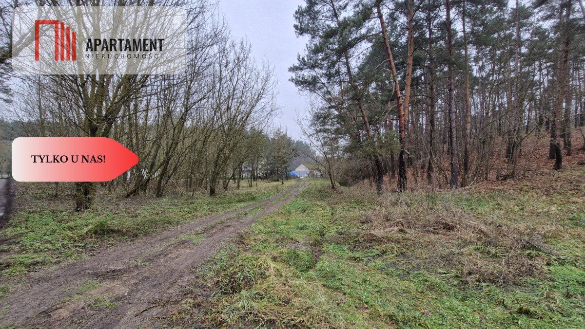 Działka budowlana na sprzedaż Grabowiec  4 000m2 Foto 1