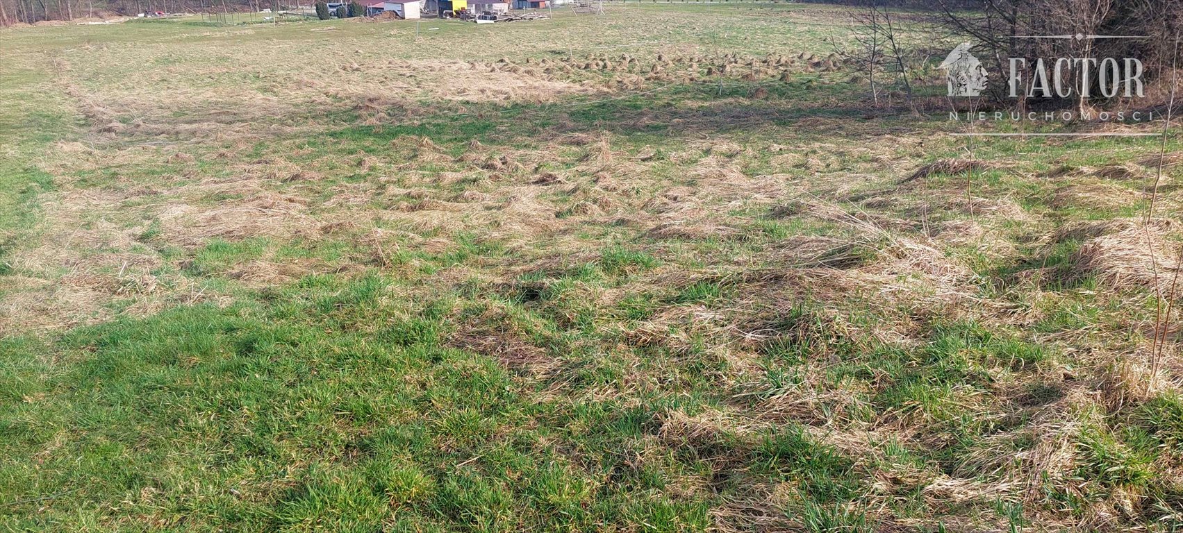 Działka budowlano-rolna 3,7 ha z mediami i zjazdem Kryg  3 700m2 Foto 1