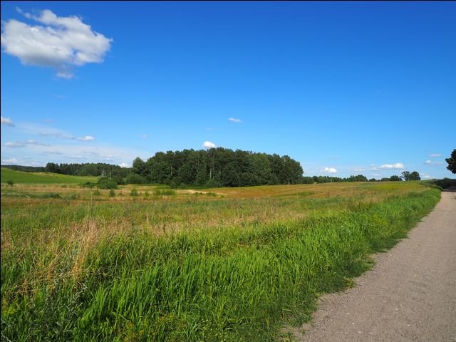 Działka leśna na sprzedaż Wołowno  19 700m2 Foto 8