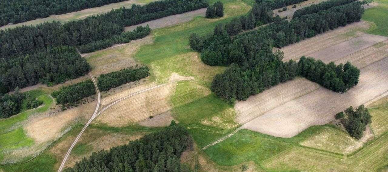 Działka rolna na sprzedaż Strzelcowizna  92 500m2 Foto 9