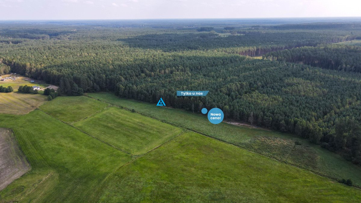 Działka 10 810 m² w Osówku – las, spokój, możliwość negocjacji Osówek  10 810m2 Foto 1