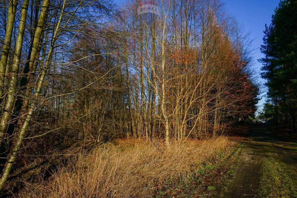 Działka budowlana na sprzedaż Waleriany  1 701m2 Foto 5