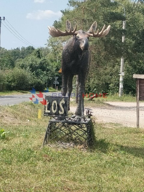 Działka 9000 m² pod zabudowę w Łosiu, blisko Warszawy Łoś  9 000m2 Foto 1