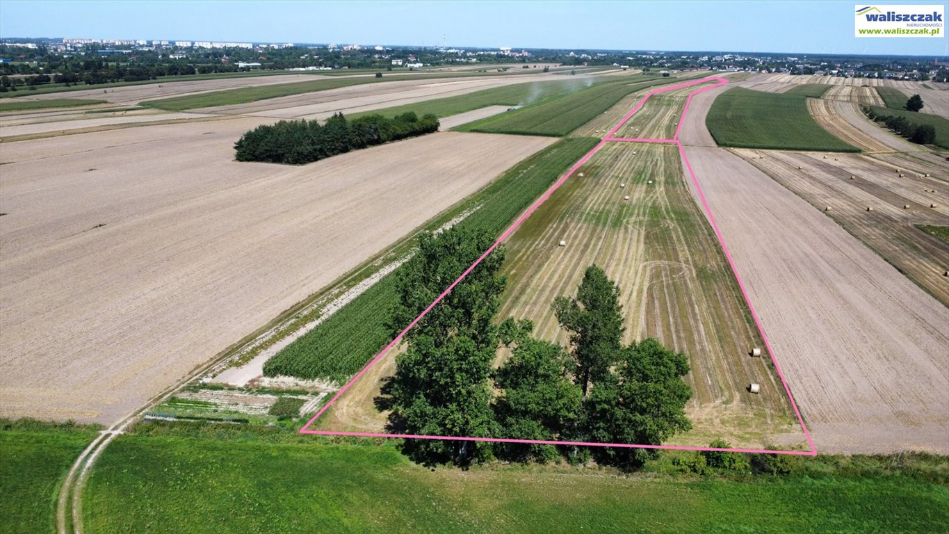 Na sprzedaż działka inwestycyjna 3,2ha przy ul. Grabskiej: Piotrków Trybunalski: Grabska