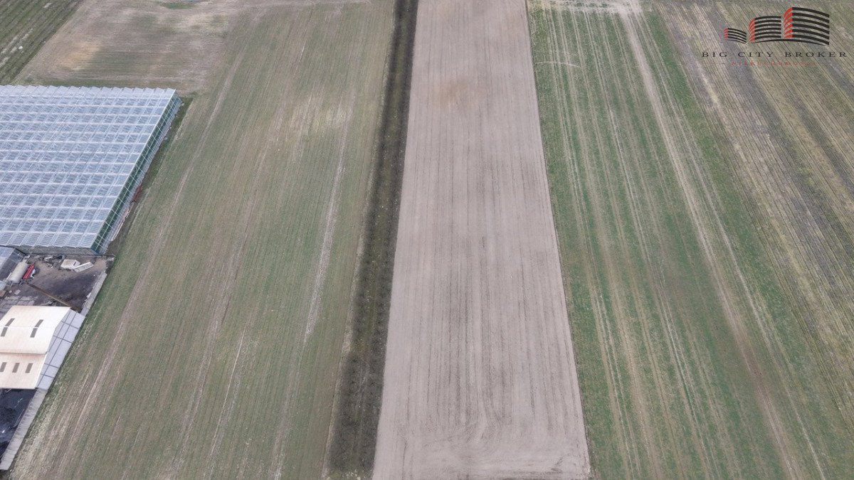 Do sprzedania duża działka 12 650 m² z potencjałem siedliskowym Poniatowa-Kolonia  12 650m2 Foto 1
