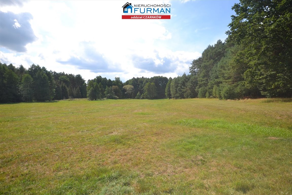 Działka 15 490 m² w Antoniewie z rzeką i lasami Antoniewo  15 490m2 Foto 1