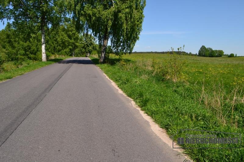 Działka budowlana na sprzedaż Czarne Wielkie  14 009m2 Foto 7