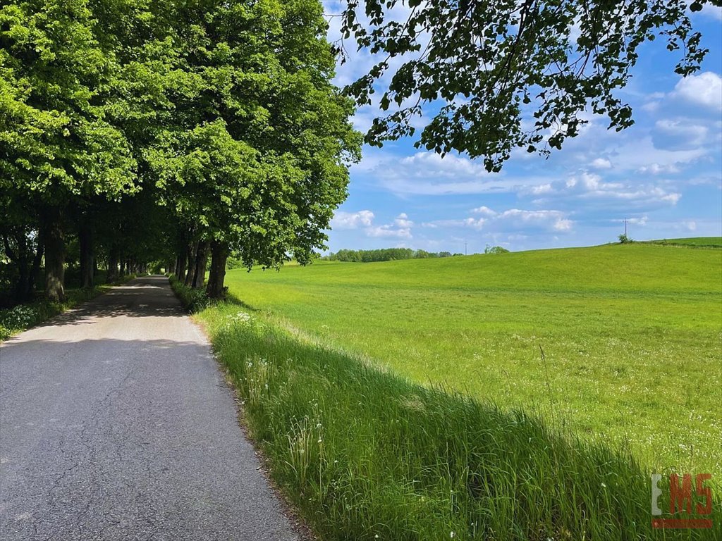 Działka inna na sprzedaż Giżycko  1 040m2 Foto 3