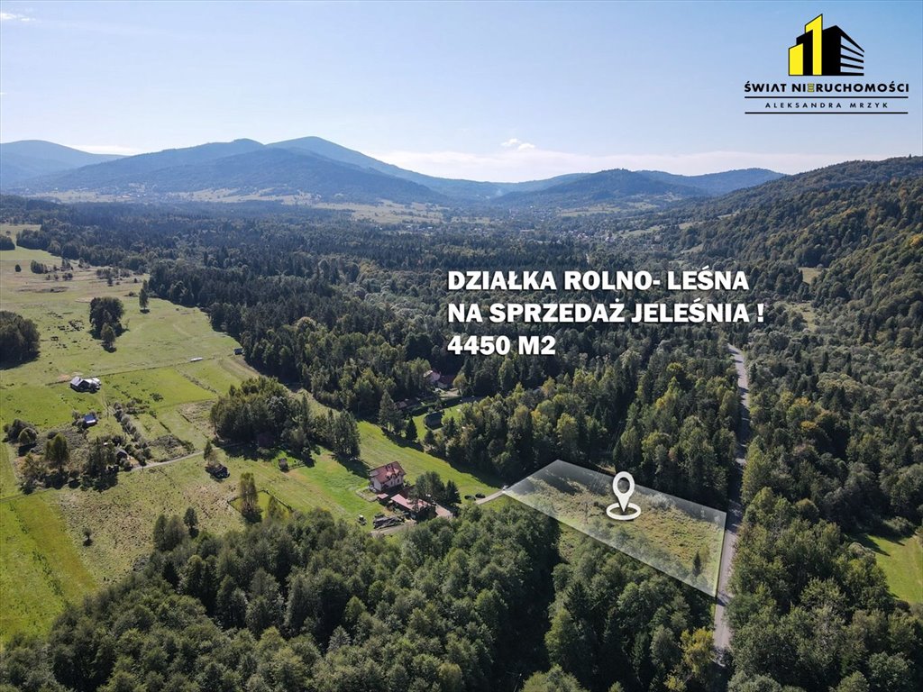 Działka rolna na sprzedaż Jeleśnia  4 450m2 Foto 1