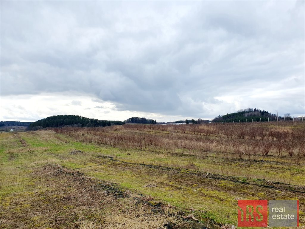 Działka budowlana na sprzedaż Chruściele  3 149m2 Foto 3