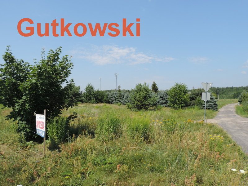 Działka budowlana na sprzedaż Wikielec, gmina Iława  2 000m2 Foto 4