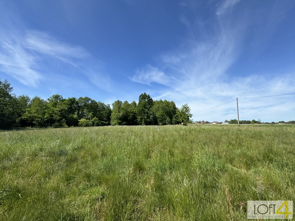 Działka budowlana na sprzedaż Bucze, Rudzka, Rudzka  1 709m2 Foto 11