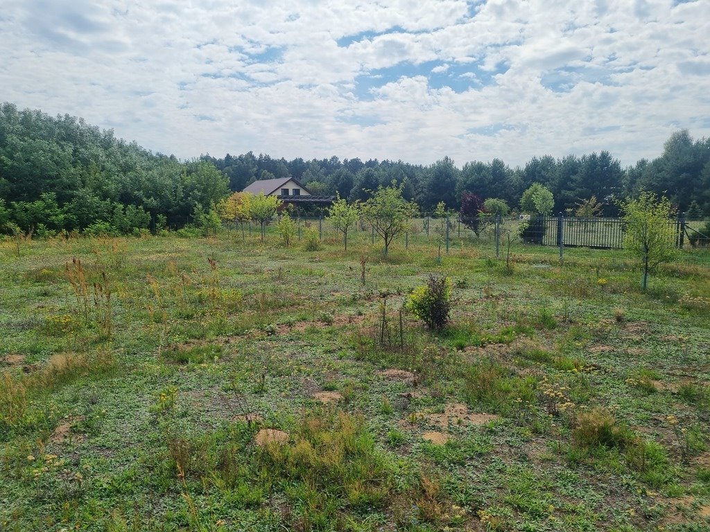 Działka rolna na sprzedaż Wólka Szczawińska  3 229m2 Foto 1
