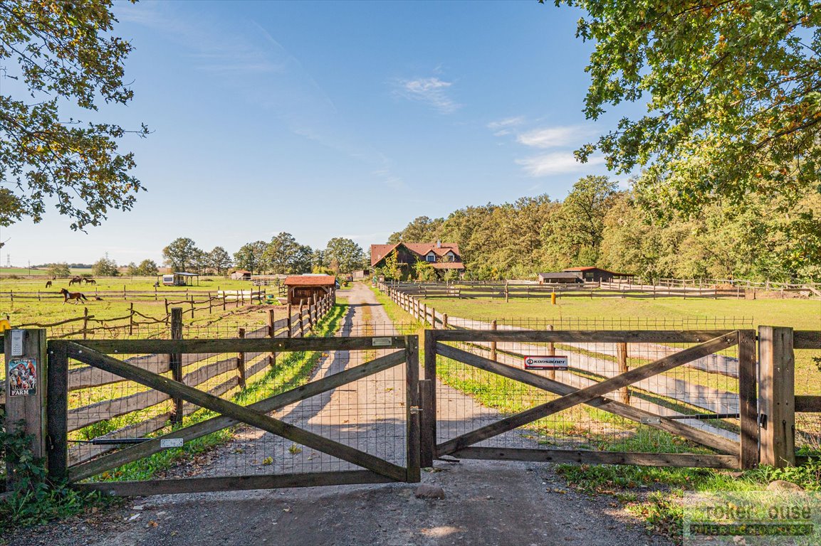 Lokal użytkowy na sprzedaż Opole  455m2 Foto 5