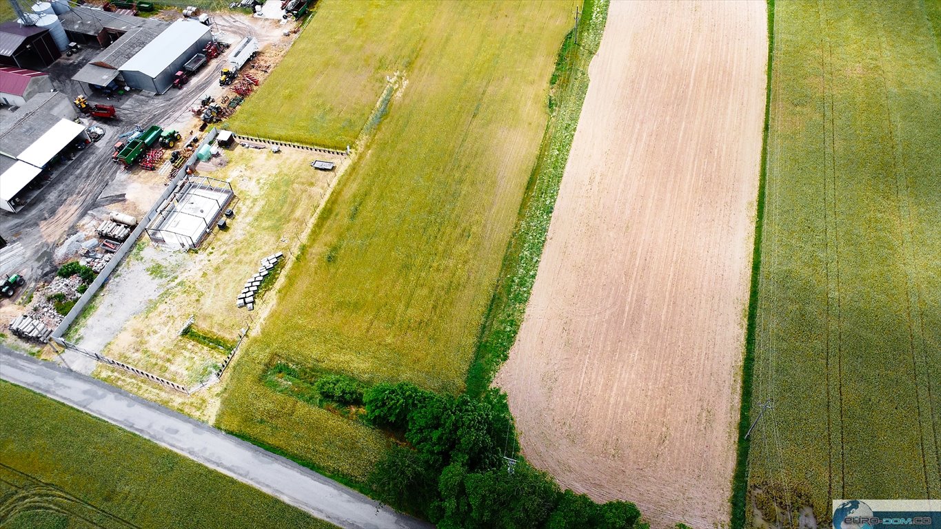 Działka budowlana na sprzedaż Grodzisk Wielkopolski  718m2 Foto 3