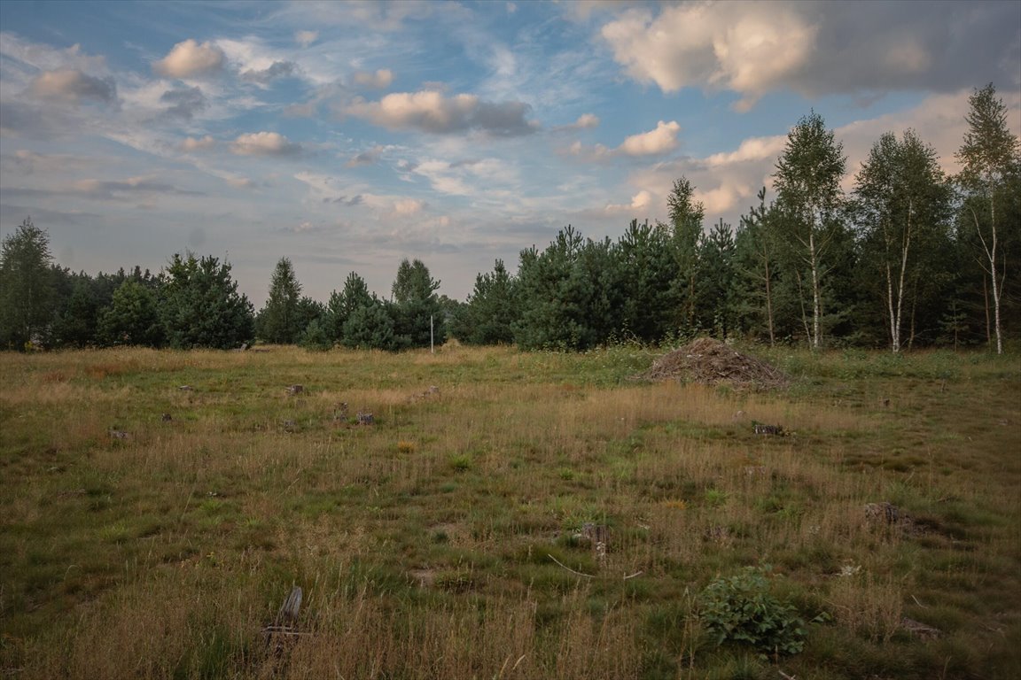 Działka inna na sprzedaż Kowalewo  1 005m2 Foto 1