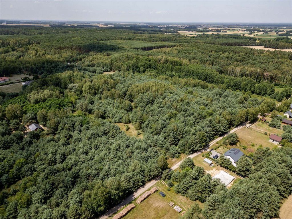 Sprzedam atrakcyjną działkę 89 tys. m² pod inwestycję w Pelagii Pelagia, Pelagia  88 921m2 Foto 1
