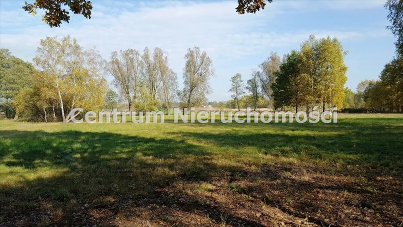 Działka inna na sprzedaż Wręczyca 44 914m2 Foto 1 Działka inna na sprzedaż Wręczyca 44 914m2 Foto 1