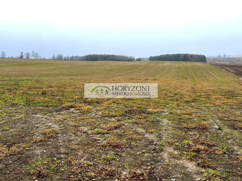 Działka 20 000 m² z możliwością budowy w Borczu Borcz  20 000m2 Foto 1