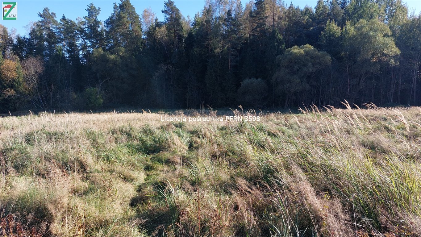 Działka budowlana na sprzedaż JORDANÓW  800m2 Foto 6