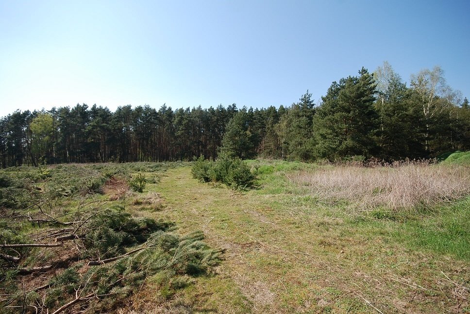 Działka budowlana na sprzedaż Grodzanów  1 000m2 Foto 4