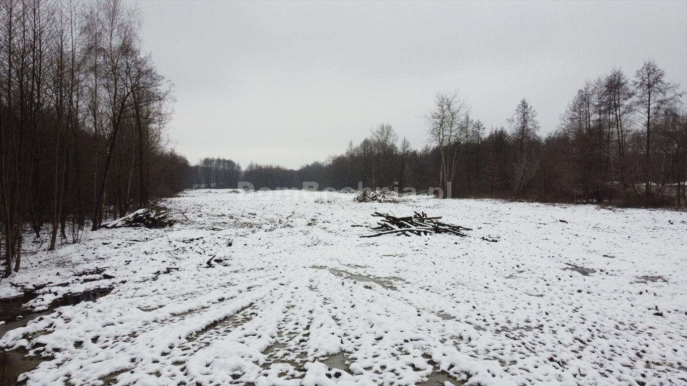 Działka przemysłowo-handlowa na sprzedaż Rzezawa  13 793m2 Foto 1