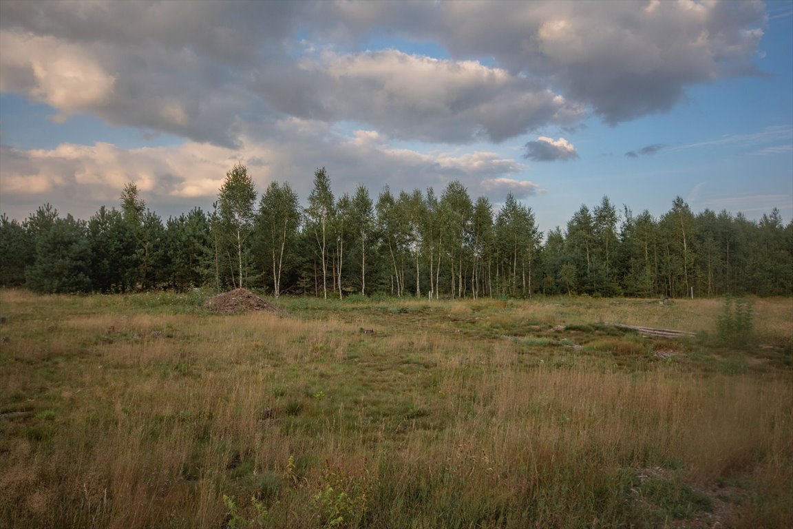 Działka inna na sprzedaż Kowalewo  1 005m2 Foto 10