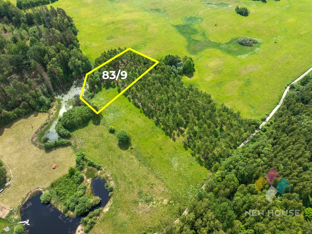 Urokliwa działka 4800 m2 z lasem i widokiem na staw Barczewko  4 800m2 Foto 1