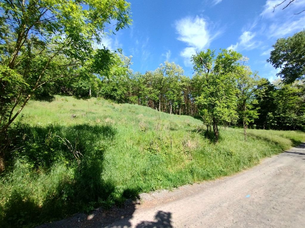 Działka inna na sprzedaż Stary Błeszyn  1 500m2 Foto 1