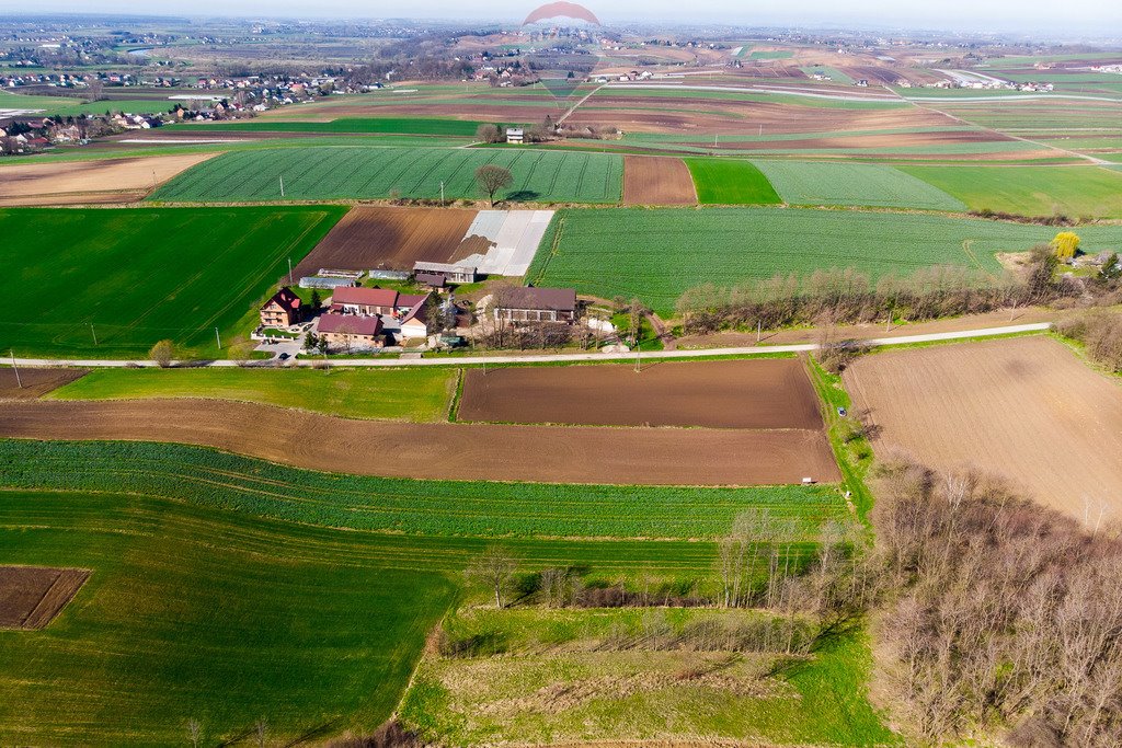 Działka rolna na sprzedaż Sierosławice  3 300m2 Foto 9