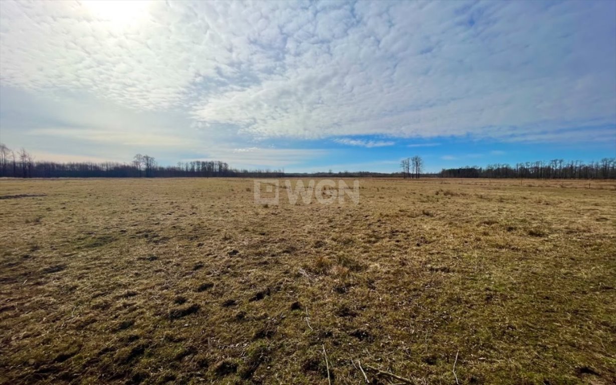 Działka inna na sprzedaż Brzozówka, Brzozówka  99 000m2 Foto 2