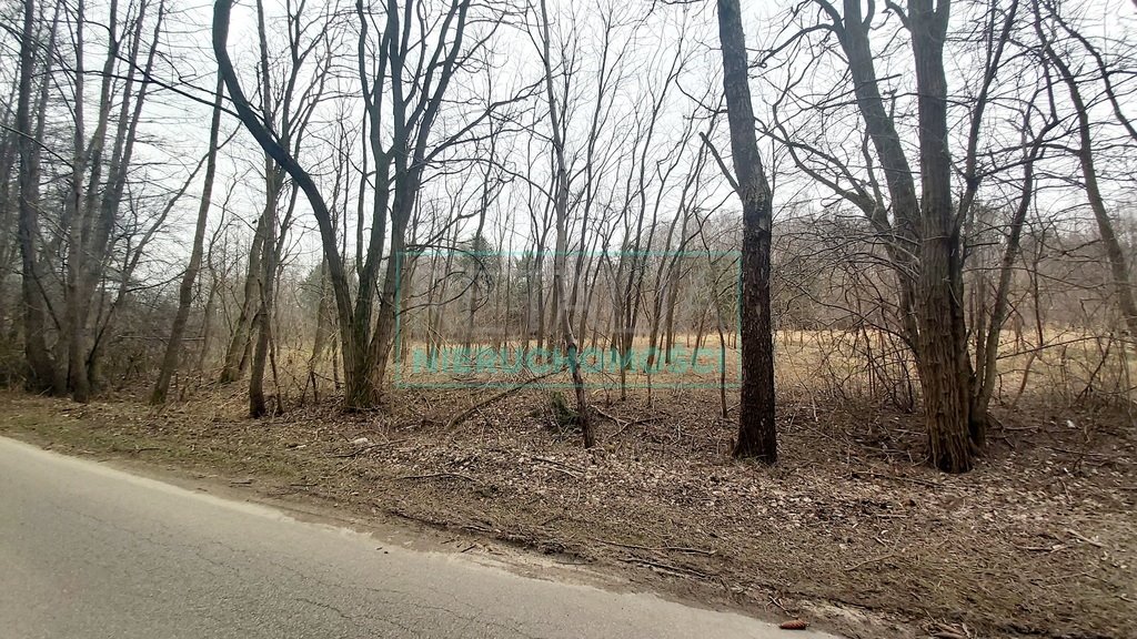 Działka 56 000 m² z wodą, prądem i zadrzewieniami Korabiewice  56 000m2 Foto 1