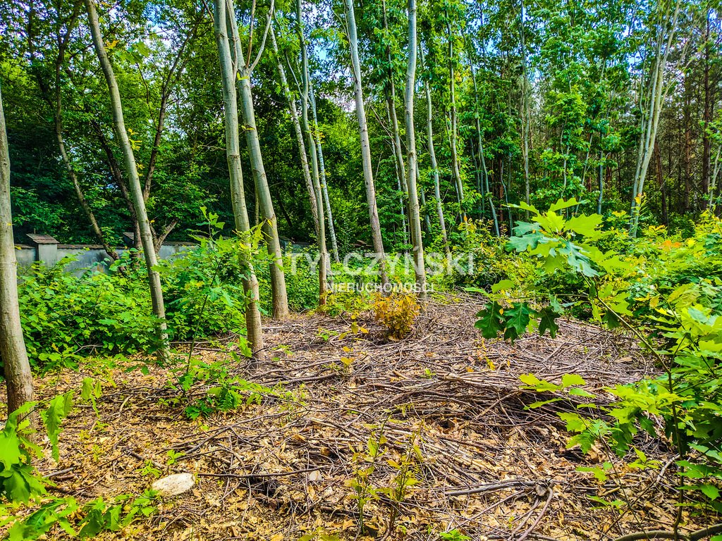 Działka budowlana na sprzedaż Szczęsne  1 000m2 Foto 7